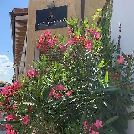 Gavias * Matapozuelos