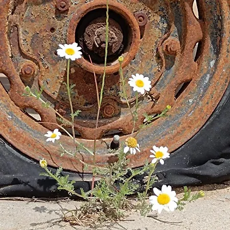 Vakantiehuis Gavias Matapozuelos