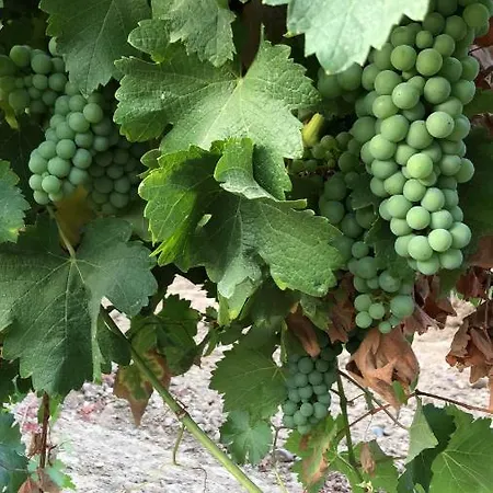 Gavias Vakantiehuis *