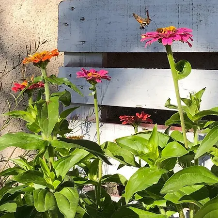 Gavias Hébergement de vacances