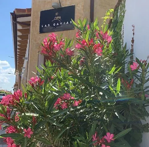 Gavias * Matapozuelos