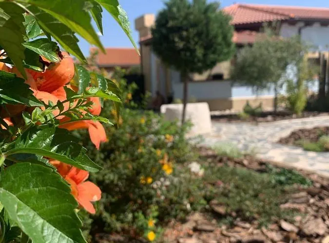 Gavias בית נופש