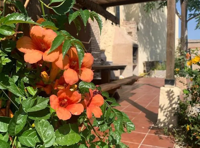 Gavias בית נופש