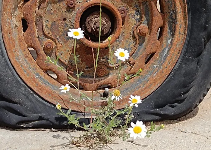 펜션 Gavias Matapozuelos