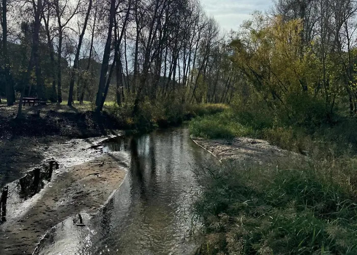 Gavias * Matapozuelos