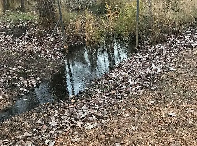 Gavias בית נופש